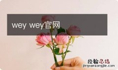 wey wey官网