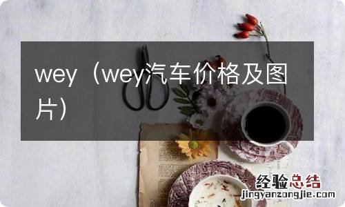 wey汽车价格及图片 wey