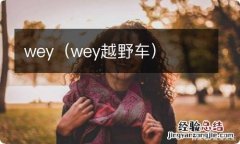 wey越野车 wey