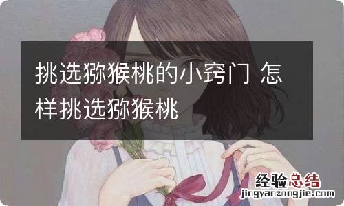 挑选猕猴桃的小窍门 怎样挑选猕猴桃