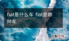 fiat是什么车 fiat是哪种车