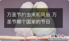 万圣节的由来和风俗 万圣节哪个国家的节日