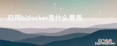 启用bitlocker是什么意思