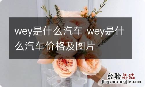 wey是什么汽车 wey是什么汽车价格及图片