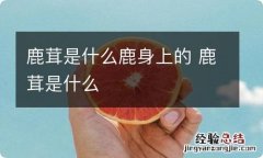 鹿茸是什么鹿身上的 鹿茸是什么