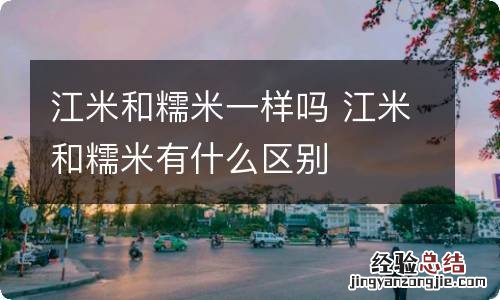 江米和糯米一样吗 江米和糯米有什么区别