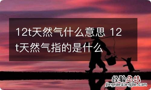 12t天然气什么意思 12t天然气指的是什么