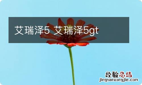 艾瑞泽5 艾瑞泽5gt