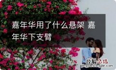 嘉年华用了什么悬架 嘉年华下支臂