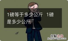 1磅等于多少公斤1磅是多少公斤