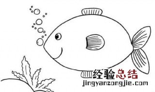 泉水鱼正确养殖方法 泉水鱼的养殖方法