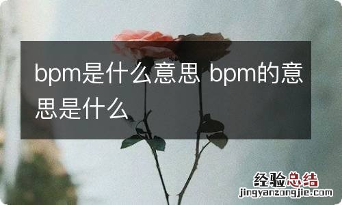 bpm是什么意思 bpm的意思是什么