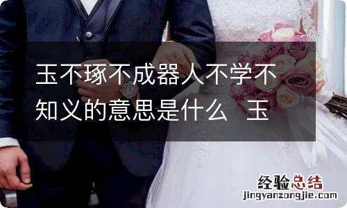 玉不琢不成器人不学不知义的意思是什么玉不琢不成器古文翻译