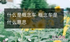 什么是概念车 概念车是什么意思