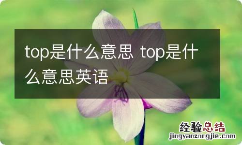 top是什么意思 top是什么意思英语