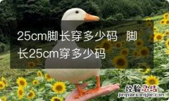 25cm脚长穿多少码脚长25cm穿多少码