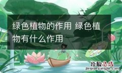 绿色植物的作用 绿色植物有什么作用