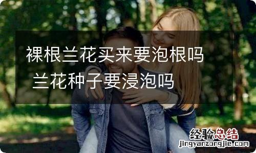 裸根兰花买来要泡根吗 兰花种子要浸泡吗