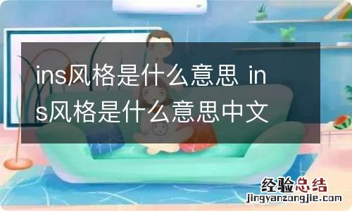 ins风格是什么意思 ins风格是什么意思中文