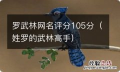 姓罗的武林高手 罗武林网名评分105分