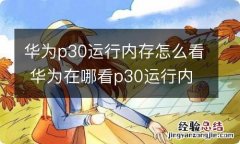 华为p30运行内存怎么看 华为在哪看p30运行内存