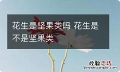 花生是坚果类吗 花生是不是坚果类