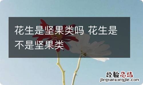 花生是坚果类吗 花生是不是坚果类