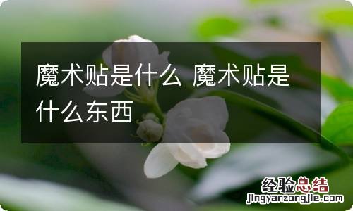 魔术贴是什么 魔术贴是什么东西