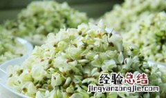 怎么保存槐花 怎么保存槐花的香味