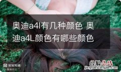 奥迪a4l有几种颜色 奥迪a4L颜色有哪些颜色