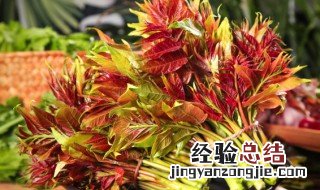 怎么保存香椿芽 香椿芽怎么保存好