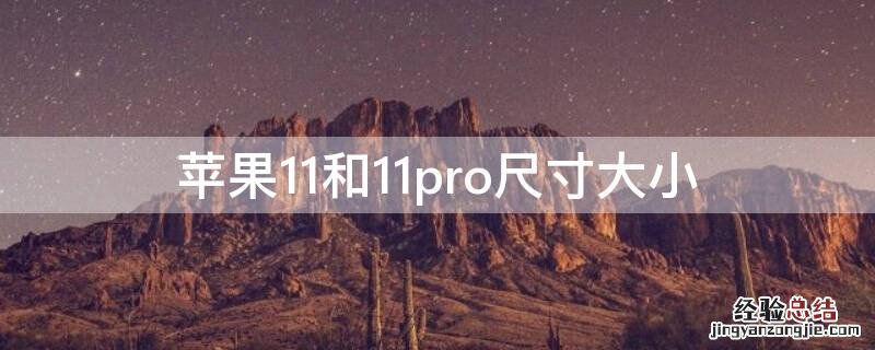 iPhone11和11pro尺寸大小