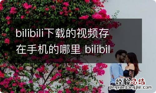 bilibili下载的视频存在手机的哪里 bilibili下载的视频存在手机的哪里vivo