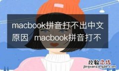 macbook拼音打不出中文原因macbook拼音打不出中文为什么