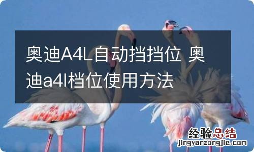 奥迪A4L自动挡挡位 奥迪a4l档位使用方法