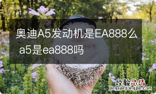 奥迪A5发动机是EA888么 a5是ea888吗