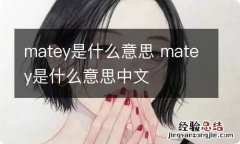 matey是什么意思 matey是什么意思中文