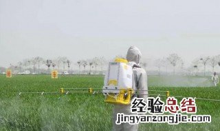 家里有豆象怎么清除 清除家里有豆象方法