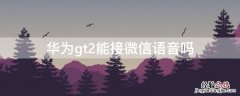 华为GT2能接微信语音吗 华为gt2能接微信语音吗