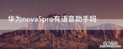 华为nova5pro智能语音助手在哪个功能里 华为nova5pro有语音助手吗