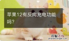 苹果12有反向充电功能吗?