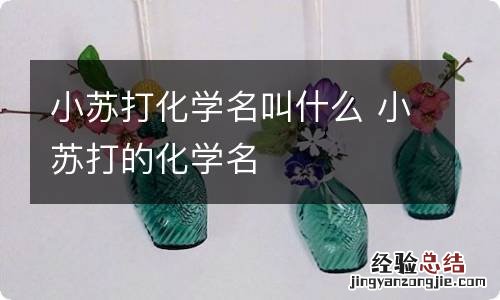 小苏打化学名叫什么 小苏打的化学名