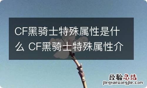 CF黑骑士特殊属性是什么 CF黑骑士特殊属性介绍