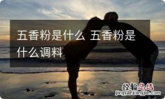 五香粉是什么 五香粉是什么调料