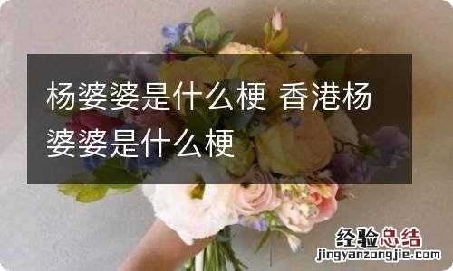 杨婆婆是什么梗 香港杨婆婆是什么梗