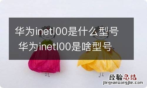 华为inetl00是什么型号 华为inetl00是啥型号