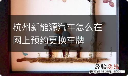 杭州新能源汽车怎么在网上预约更换车牌