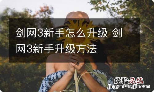 剑网3新手怎么升级 剑网3新手升级方法