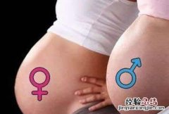 四维彩超可以看出男女吗图片 四维彩超可以看出男女吗