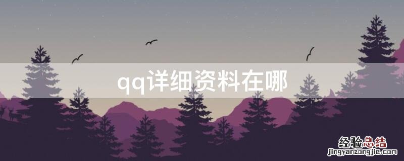 qq详细资料在哪里 qq详细资料在哪